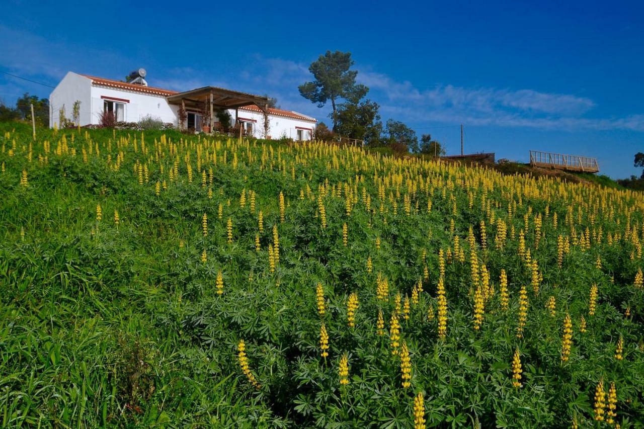 Cal Velho - Holiday Lodge Сан-Луиш Экстерьер фото